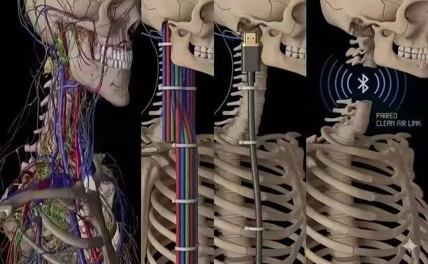 神临图拾遗